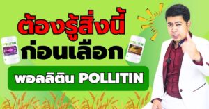 ทำไมต้องพอลลิติน
